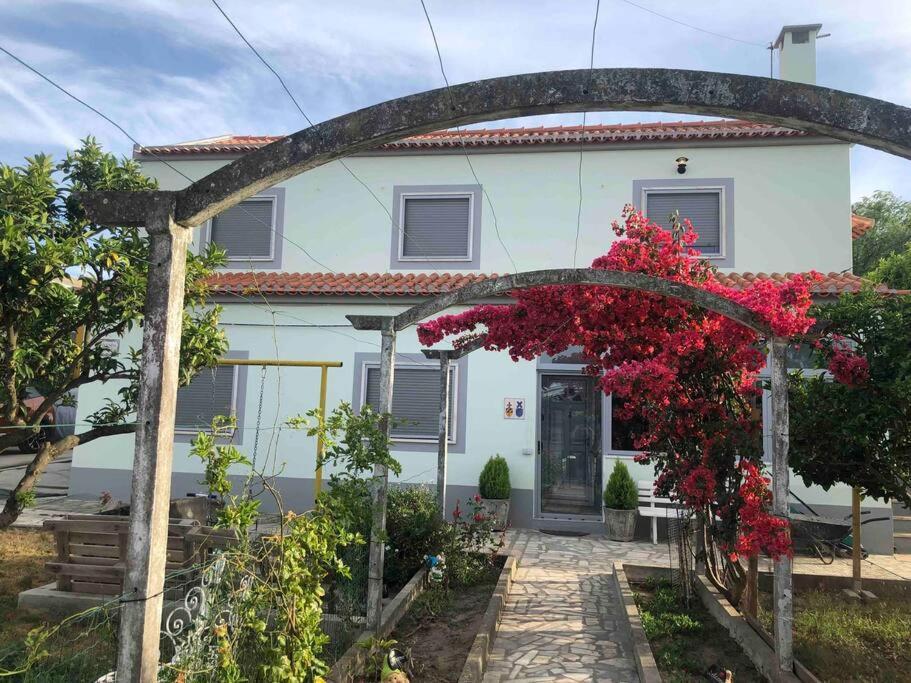 Casa Almenara Apartment Quinta do Anjo Exterior photo